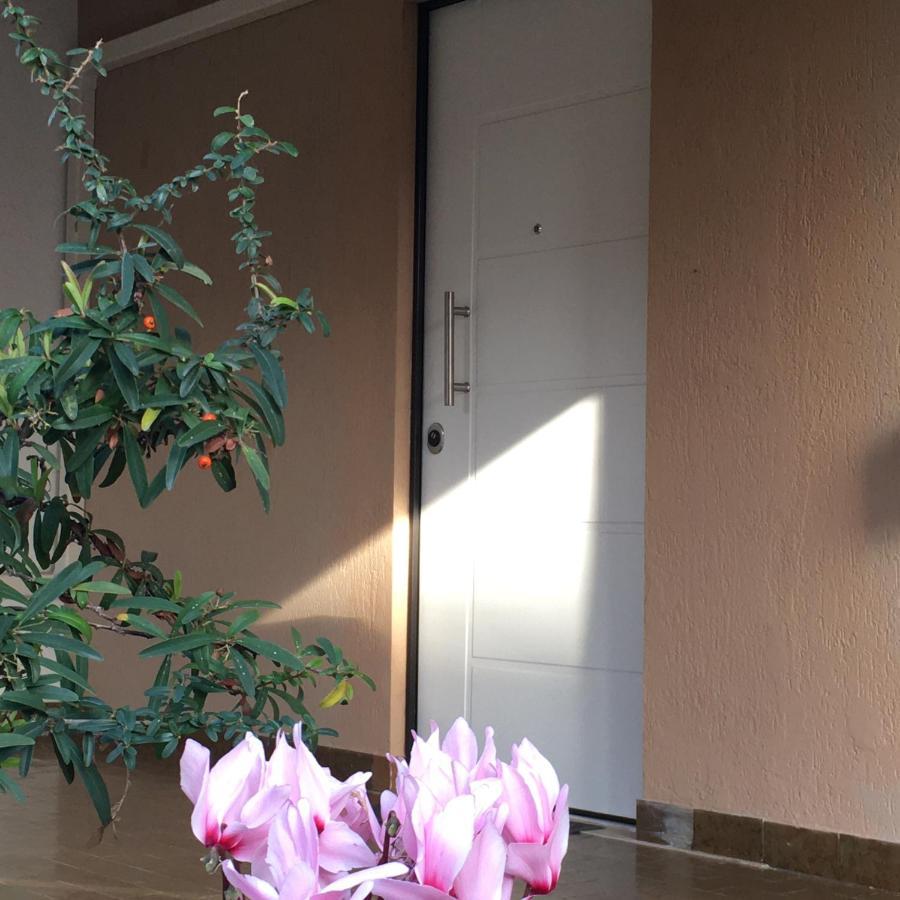 Casa Di Lucia B&B Ladispoli Exteriér fotografie